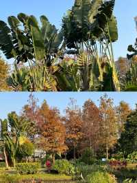 澳門氹仔人工濕地公園，一個小眾寧靜的寶藏之地