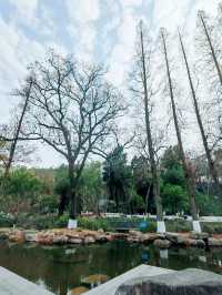 衢州孔子文化公園，古城之源，文化聖地