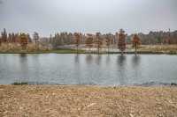 綠色濕地青西郊野公園