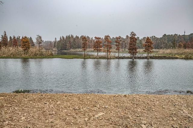 綠色濕地青西郊野公園