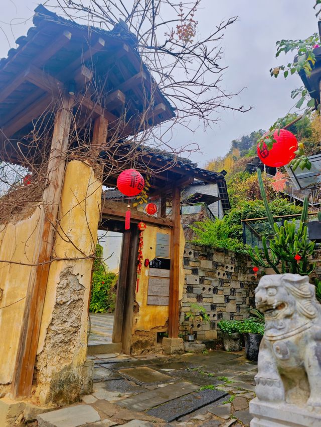陽朔｜在民宿，和貓咪成為了好朋友