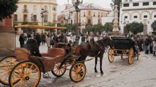 I recommend visiting this city when you come to Spain.
