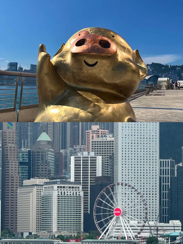 邂逅維多利亞港 | 一眼便是香港的浪漫與繁華