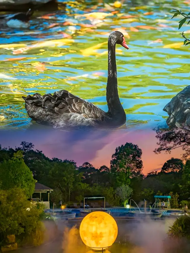 Check in! A hidden paradise in Slender West Lake!