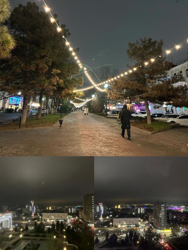 頓河畔羅斯托夫：俄羅斯的河畔明珠