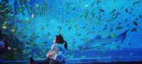 100個海洋館&動物園計劃~深圳小梅沙海洋世界