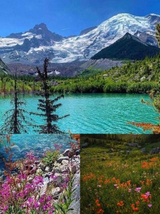 Seattle | Next up is Mount Rainier, Mount Rainier National Park