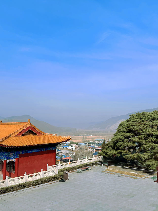 延吉東來寺 | 一日淨化心靈之旅攻略
