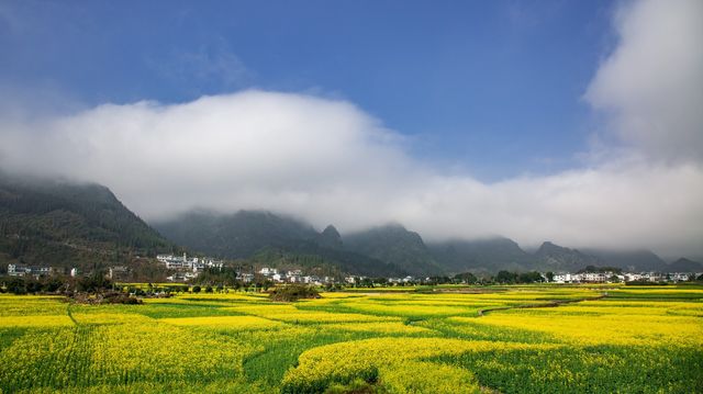 春天，又見萬峰林