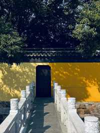 蘇州西山島 | 一場治癒人心的自駕一日遊