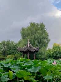 早知園博園，何必下江南