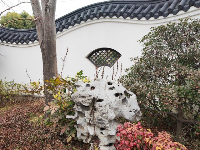 真如公園梅花景