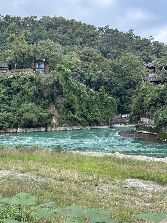 寒假去都江堰-樂山看熊貓超詳細攻略速覽