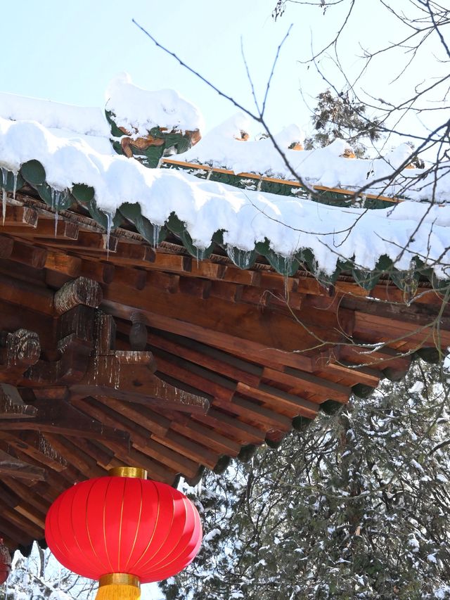 冬天遊鄭州-開封-少林寺 看這篇攻略就夠了