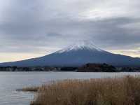 來了幾次日本，終於看到雪頂富士山啦