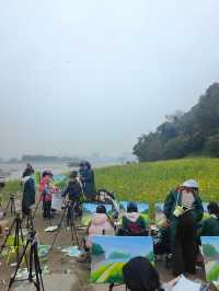 樂山濠上大橋 · 闖進春日油菜花秘境