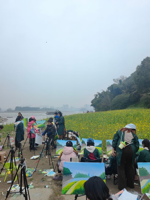 樂山濠上大橋 · 闖進春日油菜花秘境