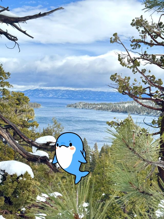 live Tahoe｜暴雪超絕氛圍感 雪季可太棒啦
