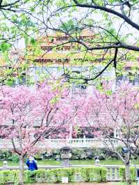 【新北林口竹林山觀音寺】寺廟遊也能超美的！