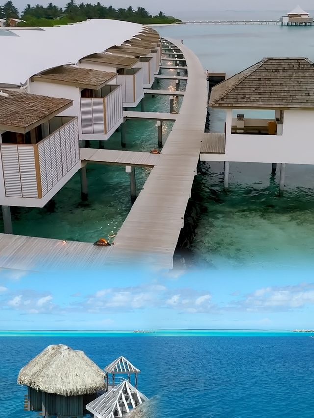 馬爾代夫丹格迪島／夢幻之旅全攻略