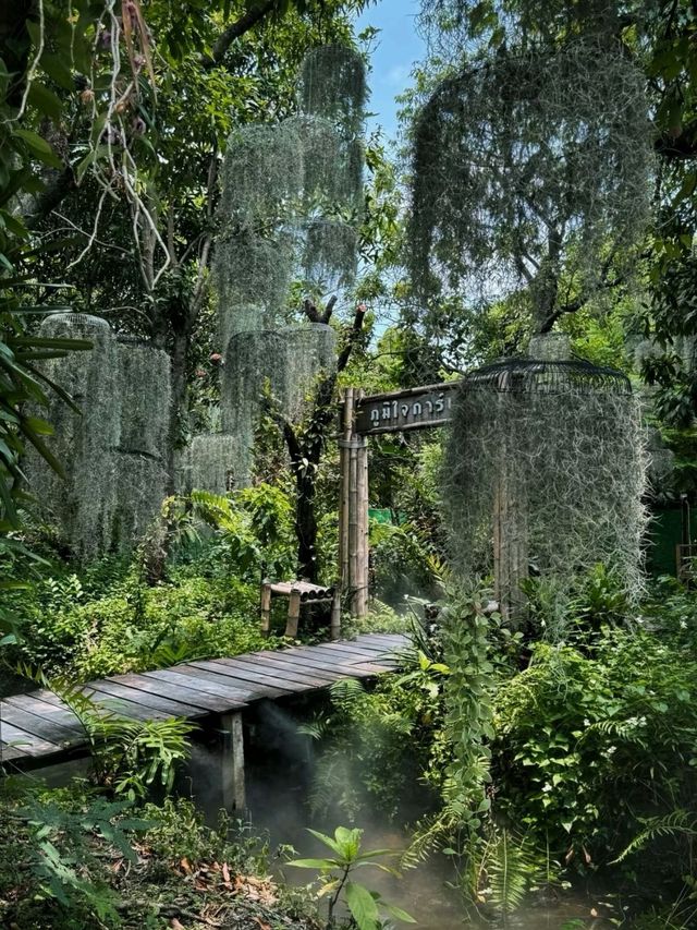 Natura Cafe in Thailand is a Must Visit✨