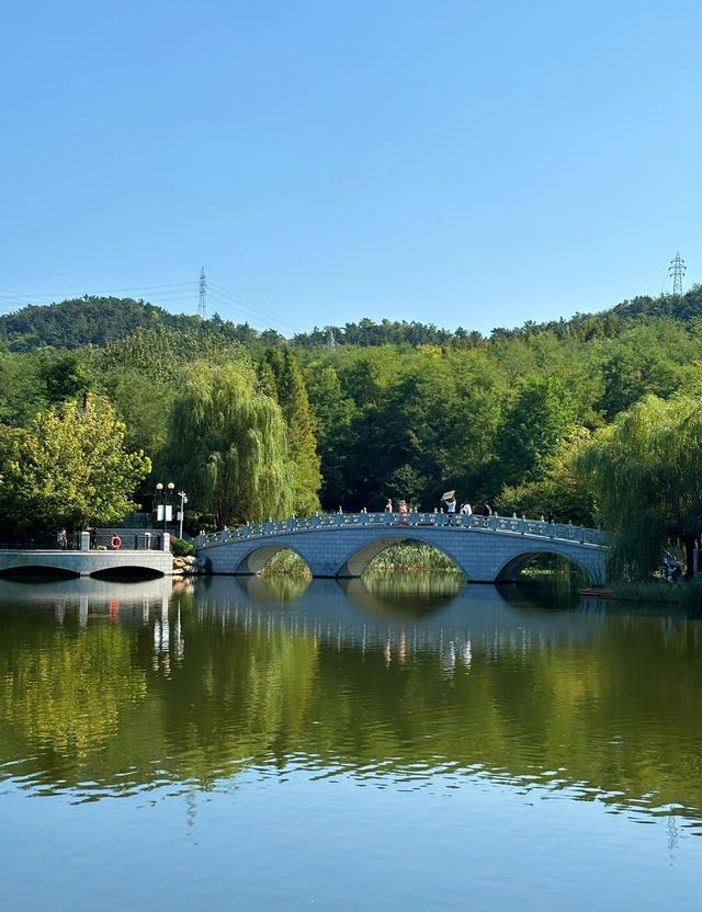大連兒童公園超詳細攻略，帶娃賞景兩不誤