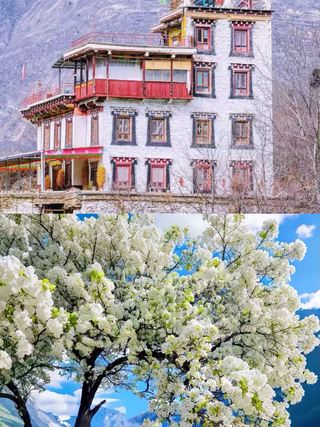 金川已回，說說我的真實感受。