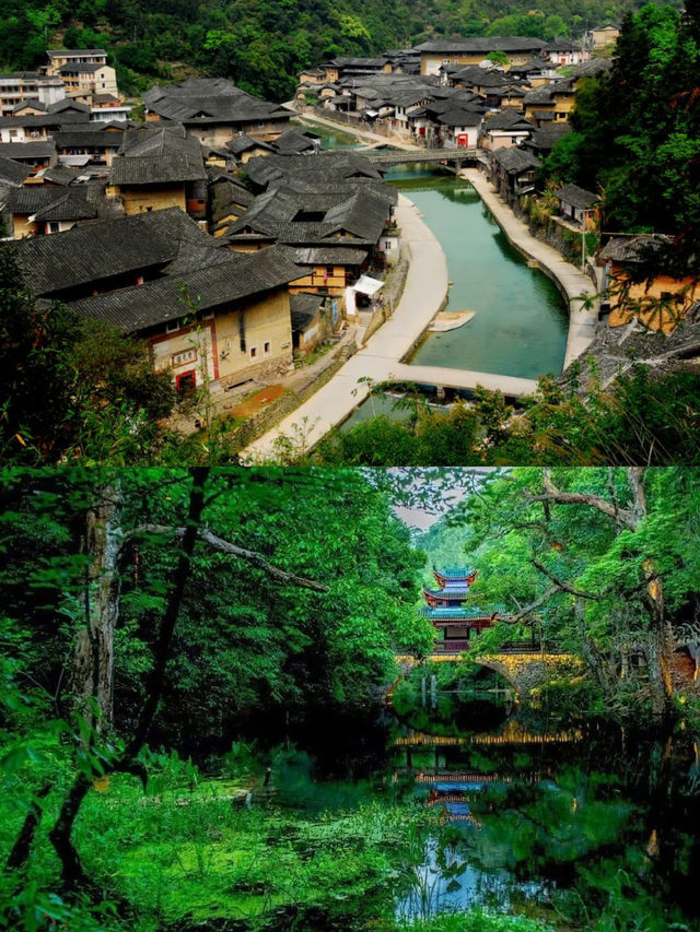 自帶「綠」鏡？福建吸氧躺平指南來啦！