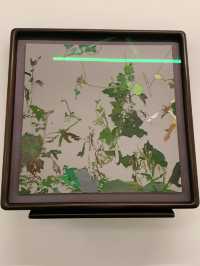春日逛展指南，造跡