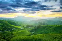 江浙滬週末放鬆！自駕暢遊莫干山