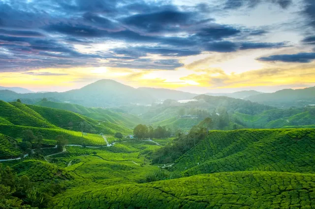 江浙滬週末放鬆！自駕暢遊莫干山