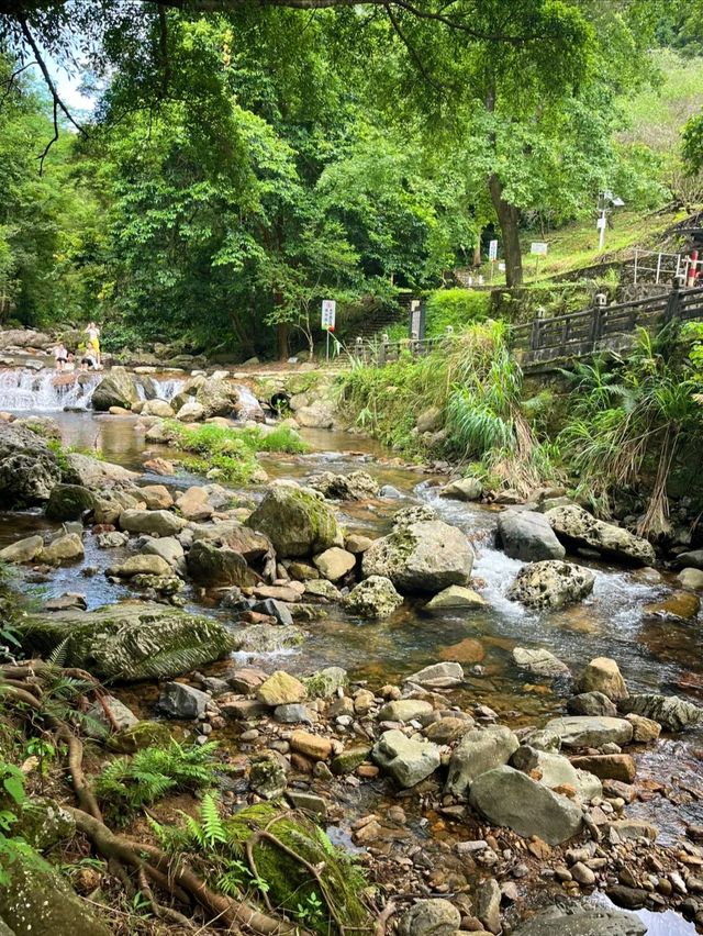 石門森林公園 | 周末吸氧好去處，爽麻了