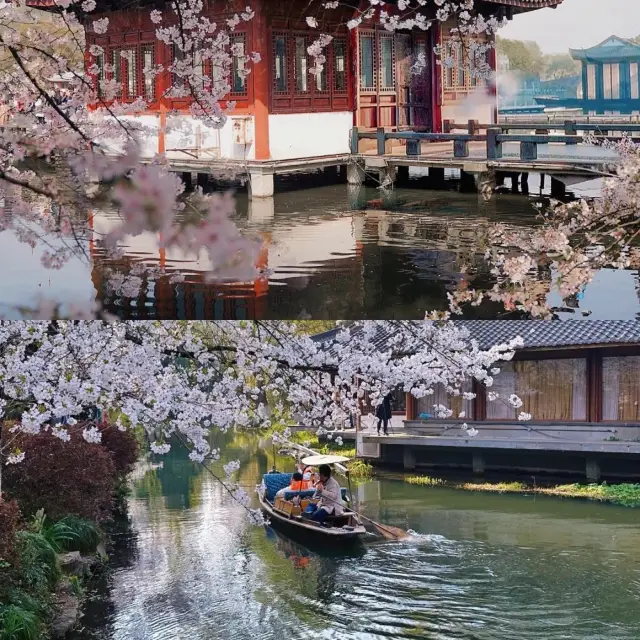 杭州春季旅行必去！避雷攻略已備好