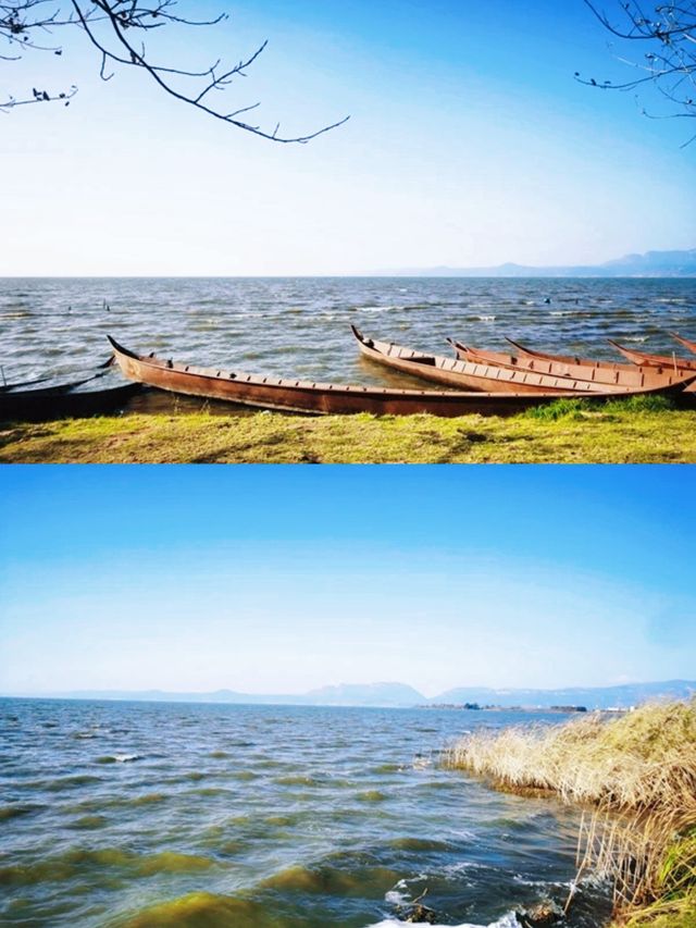 昆明周邊遊 | 滇池一角，寶豐濕地公園