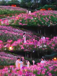 闖進莫奈花園的仲夏夜之夢