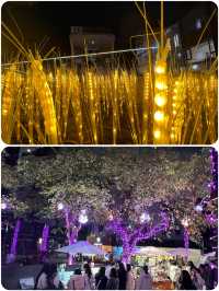 夜遊台北中山公園，解鎖都市中的靜謐秘境