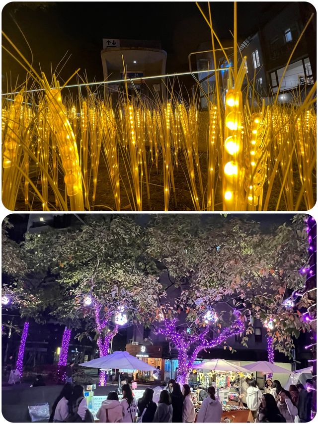 夜遊台北中山公園，解鎖都市中的靜謐秘境