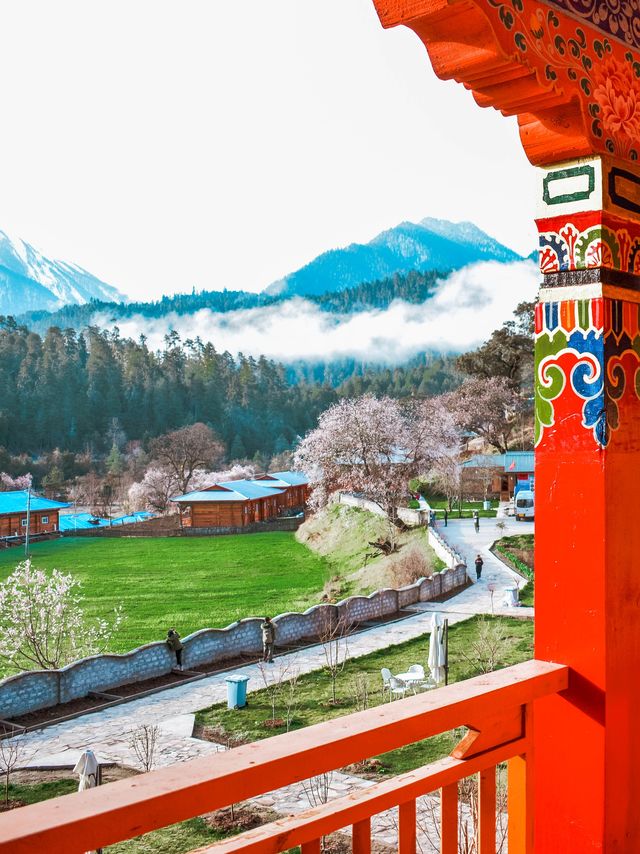 林芝桃花之旅｜來嘎瑪穿藏服釀桃花蜜
