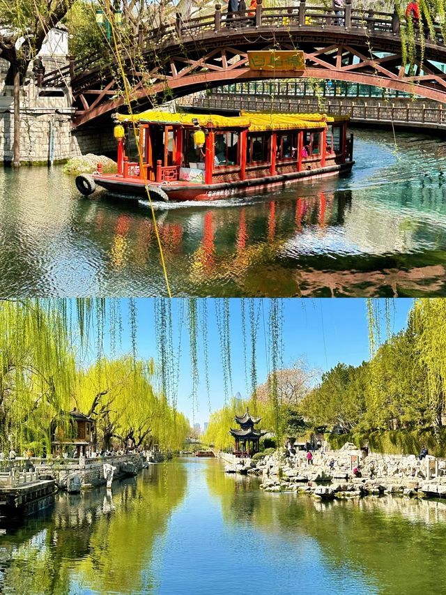 3.23實拍「濟南的春天真的太棒了!附機位 3.23實拍「濟南的春天真的太棒了!附機位