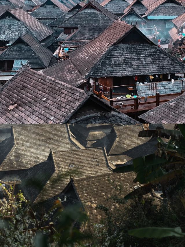 探索雲南普洱：糯干古寨嘅韻味