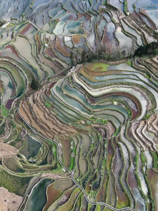 5일 동안 곡정-훙허-위시 여행: 완벽하고 실패 없는 여행 가이드