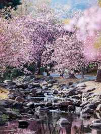 「普照佛光疊翠巒，無錫聖境秀靈山」