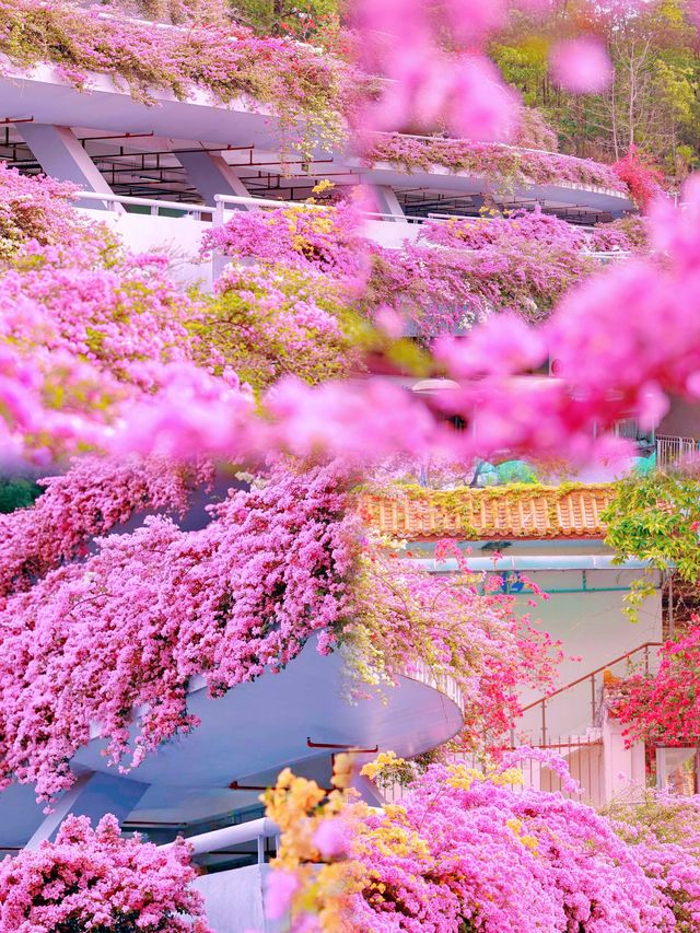 勇闖綠野仙蹤仙湖植物園