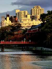 悠然漫步：天王寺的四季詩篇