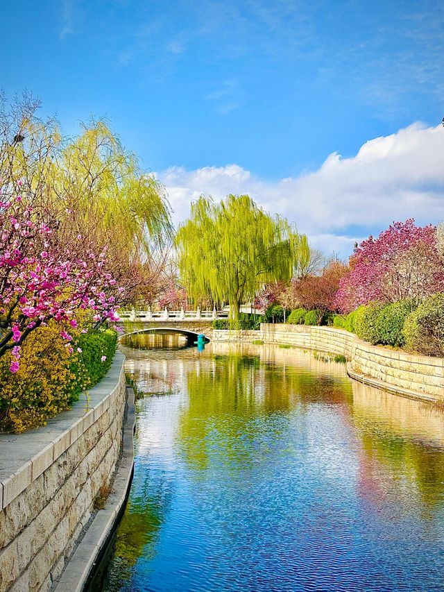 北京賞花路線分享