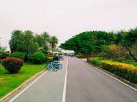 Nansha Wet Land: Pearl River Delta Relaxation Oasis
