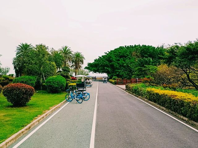 Nansha Wet Land: Pearl River Delta Relaxation Oasis
