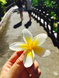 來一場東南亞小眾海島度假之旅