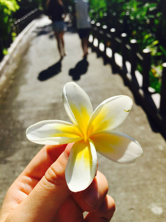 來一場東南亞小眾海島度假之旅