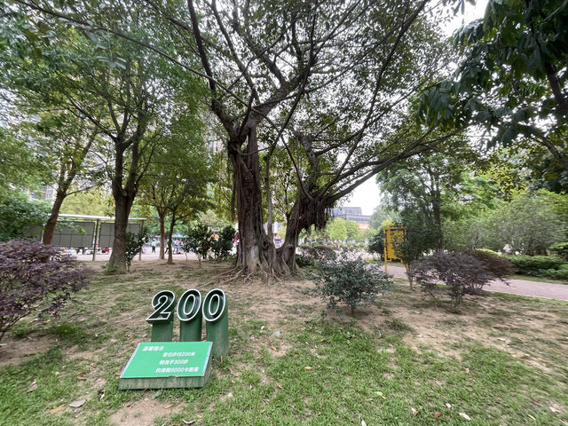 🏡☘️ 陽春名樹公園 · 偷得浮生半日閒